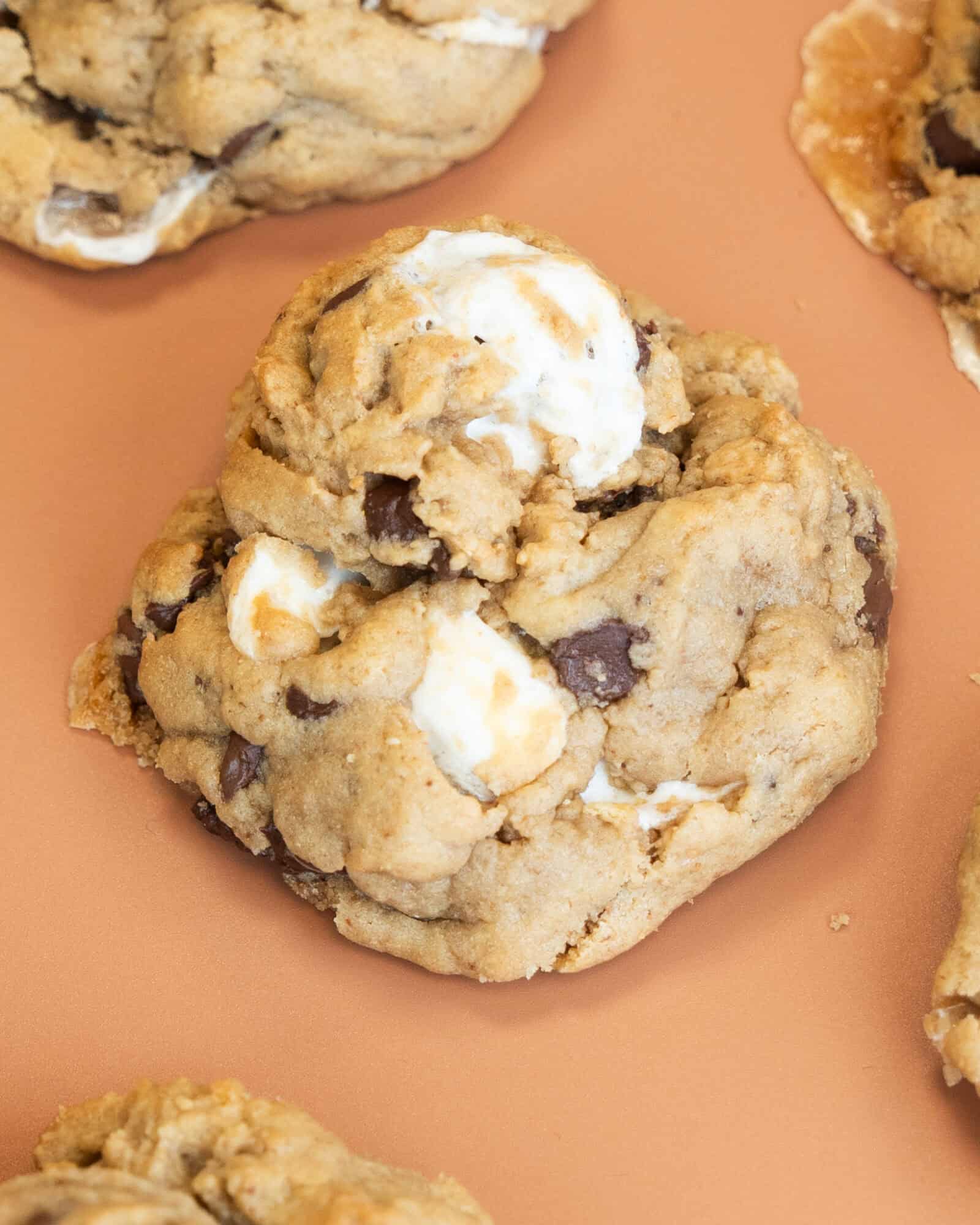 Grandma's S'mores Cookie_october_cotm